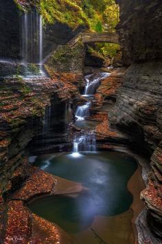 
                    
                        watkins glen
                    
                
