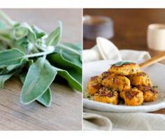 
                    
                        Sautéed Sweet Potato and Spinach Gnocchi with Garlic Sage Oil
                    
                