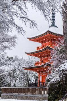 
                    
                        Snow in Kyoto
                    
                