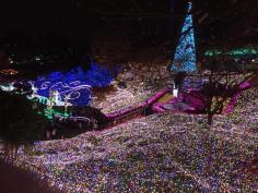 
                    
                        Illumination Park @ Tokyo
                    
                