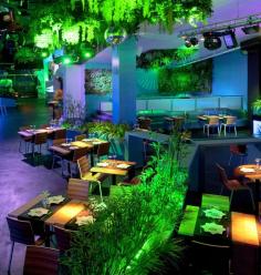 
                    
                        Blub Lounge, Barcelona
                    
                