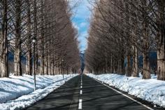 
                    
                        Winter Road
                    
                