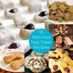 Yum, Yum, Woof: 10+ Delicious Dog Treat Recipes - diycandy.com ALL GOOD RECIPES
