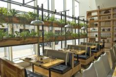 
                    
                        JG Domestic Americana Restaurant Serves Up a Living Wall of He...
                    
                