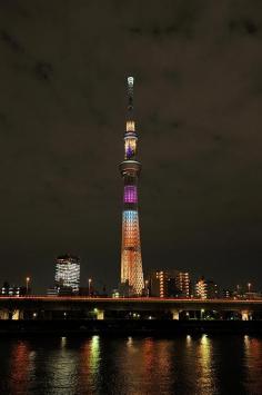 
                    
                        Tokyo SkyTree
                    
                
