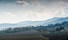 
                    
                        bulgari-winery-akp-19
                    
                