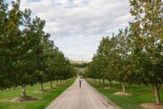 
                    
                        Hunter Valley wedding photography. Image: Cavanagh Photography cavanaghphotograp...
                    
                