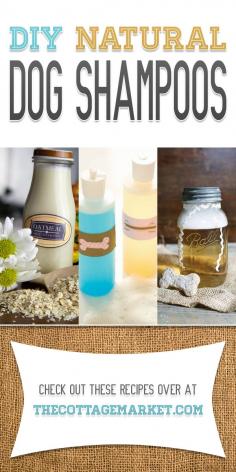 
                    
                        DIY Natural Dog Shampoos - The Cottage Market
                    
                