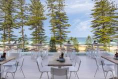 
                    
                        Daniel San ~ Rooftop ~ Manly
                    
                