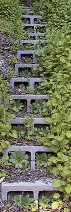 
                    
                        5 Ways to Use Cinder Blocks in the Garden • Lots of creative projects, ideas and tutorials! Including, from 'sustainable urban living', these fabulous concrete block steps.
                    
                