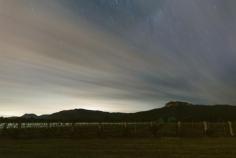 
                    
                        Margan Hunter Valley wedding. Image: Cavanagh Photography cavanaghphotograp...
                    
                