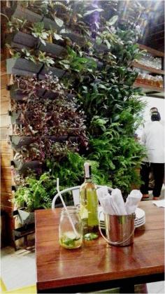 
                    
                        GASTRONOMY by Joy: Green Pastures: Organic Eating Had Never Been This Goood!
                    
                