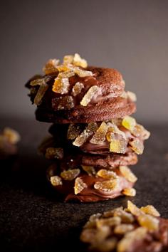 
                    
                        Triple Chocolate Ginger Cookies
                    
                