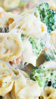 
                    
                        Bacon Tortellini Bake Recipe
                    
                