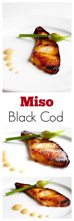 
                    
                        Miso Cod – delicious, moist, and tender cod fish marinated with Japanese miso. This miso cod recipe is made famous by Nobu Matsuhisa | rasamalaysia.com
                    
                
