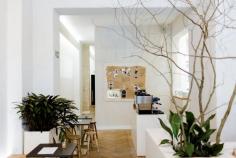 
                    
                        Daluma — Berlin #menuboard
                    
                