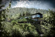 
                    
                        PDX Homestead « Skylab Architecture
                    
                