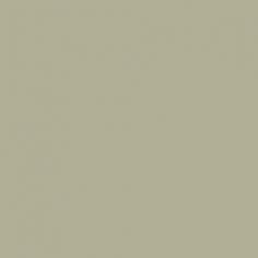 
                    
                        Svelte Sage SW 6164 by Sherwin-Williams.
                    
                