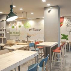 
                    
                        Fontanili’s restaurant interior | hanging pots, pale wood, wall mural
                    
                