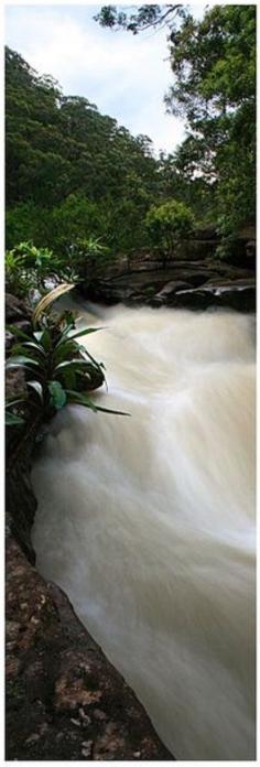
                    
                        Glenbrook Gorge In New South Wales Blue Mountains -ShazB
                    
                