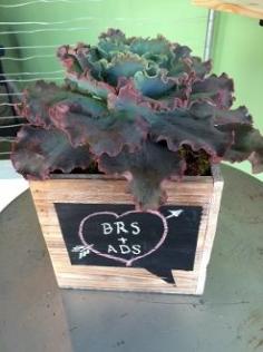 
                    
                        so sweet // sarah von pollaro
                    
                