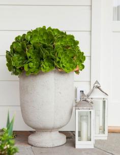 
                    
                        Love this pot with succulents!
                    
                