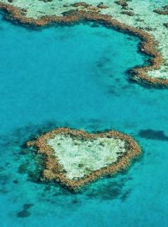 
                    
                        Heart Reef, Australia
                    
                