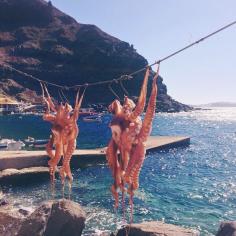 
                    
                        You don't have to travel all the way to Greece for a fresh catch. Here are America's greatest seafood restaurants. Photo courtesy of lugeman on Instagram.
                    
                