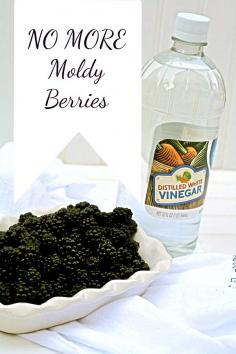 No mold berries