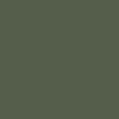 
                    
                        Rookwood Dark Green SW 2816
                    
                