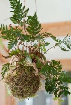 
                    
                        dutch design label vij5..
                    
                