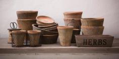 
                    
                        Terracotta Pots
                    
                