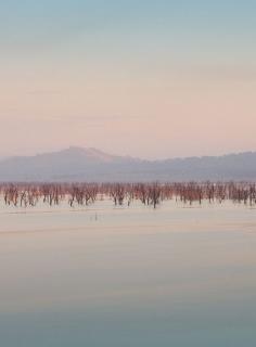 
                    
                        Lake Hume in Australia
                    
                
