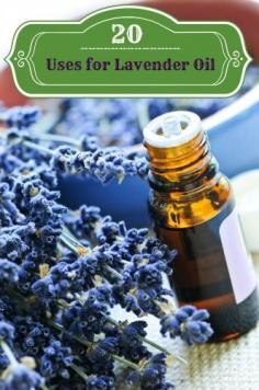 The Many Health Benefits of Lavender~ Here are just a few other conditions that lavender can help with: Acne, Alopecia areata, Anxiety. Athlete's foot, Burns, Cold sores, Colic (for babies), Cramps, Dandruff, Diaper rash, Eczema, Sinus, Congestion, Headache Relief, Insect Bites/Stings, Insomnia, Psoriasis, Rash and Sunburn. #Spa #aromatherapy #relax #pampering