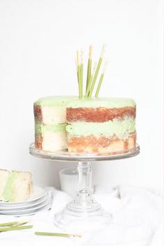 
                    
                        MATCHA POCKY STICK CAKE
                    
                