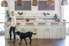 
                    
                        DogVacay Offices by West Haddon Hall, Santa Monica – California » Retail Design Blog
                    
                