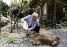 
                    
                        A true superhero helping the Fukushima animals - Naoto Matsumura: niceartlife.com/...
                    
                