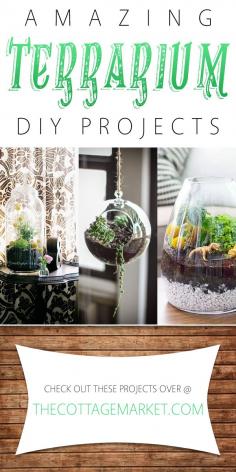 
                    
                        Amazing Terrarium DIY Projects - The Cottage Market
                    
                