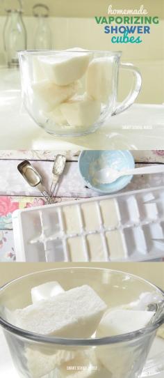 
                    
                        Homemade Vaporizing Shower Cubes (without menthol)
                    
                