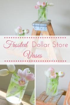 
                    
                        DIY Frosted Dollar Store Vases | making it in the mountains
                    
                