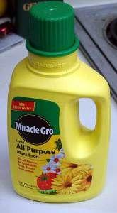 
                    
                        Homemade Liquid Miracle Grow Concentrate Recipe For $0.35 A Container! (correct link)
                    
                