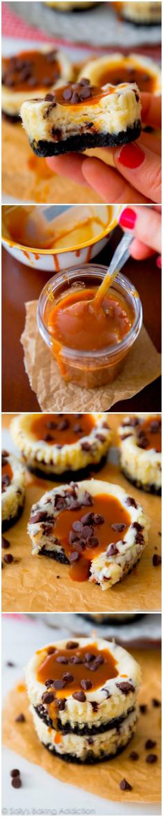 Salted Caramel Chocolate Chip Cheesecakes. - Sallys Baking Addiction