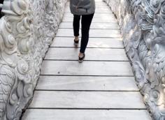 
                    
                        Travel Journal: Vietnam
                    
                