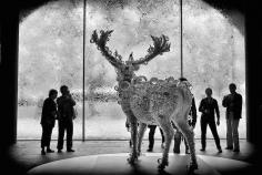 
                    
                        melbourne art gallery
                    
                