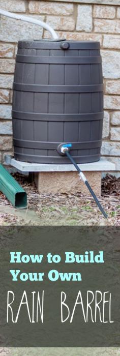 
                    
                        How to Build Your Own Rain Barrel- DIY Rain Barrel Tips, tricks and tutorials.
                    
                