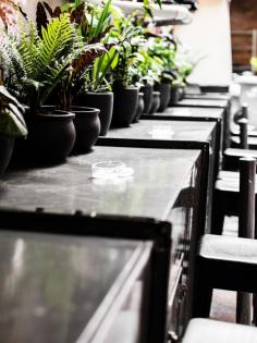 
                    
                        The Barber Shop Cocktail Bar Sydney
                    
                