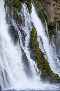 
                    
                        Burney falls, Shasta Cascade - California
                    
                