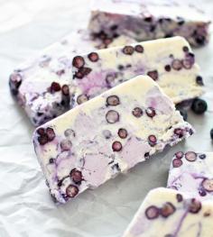 
                    
                        Vanilla Frozen Yogurt and Blueberry Terrine
                    
                