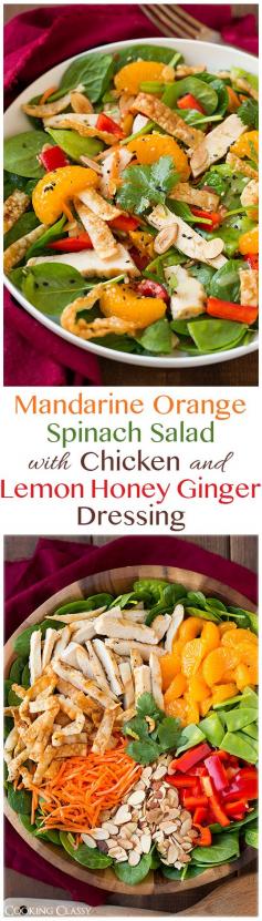 
                    
                        Mandarine Orange Spinach Salad with Chicken and Lemon Honey Ginger Dressing - this was one of the best salads I've ever eaten, my mom said the same too! DELICIOUS!! The dressing is to die for!
                    
                