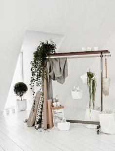 
                    
                        The Design Chaser: Indoor Plants | Fresh Ideas
                    
                